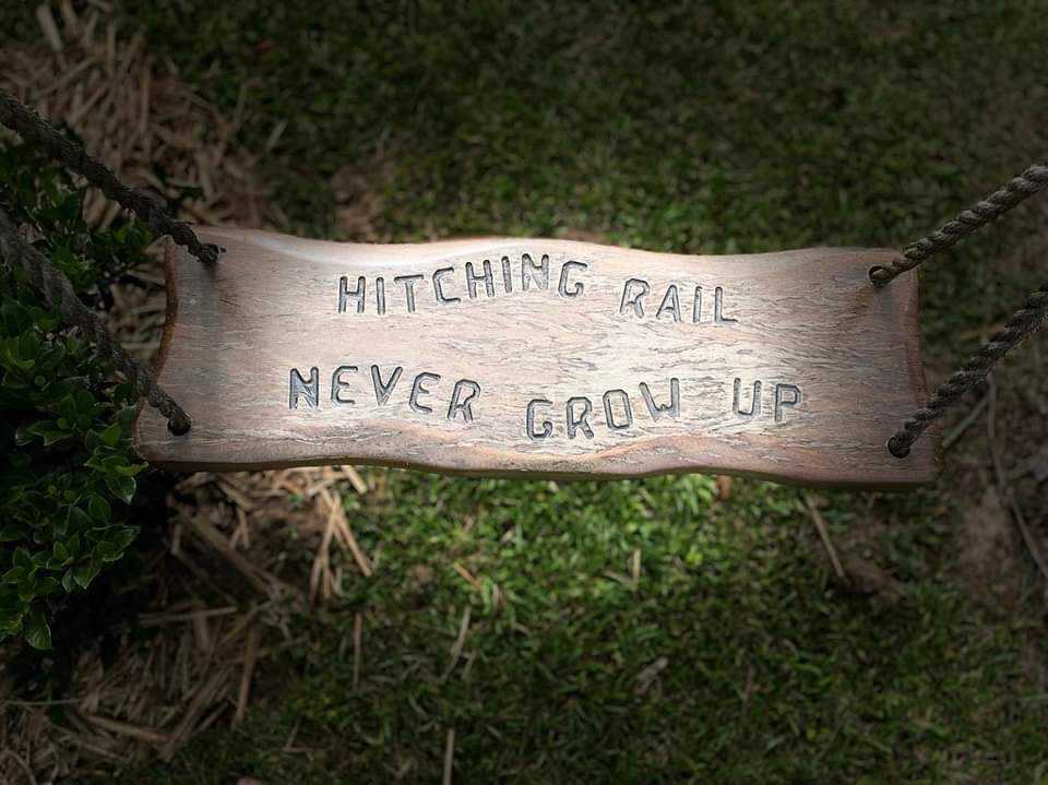 Never grow up outdoor swing overlooking Tinaroo dam