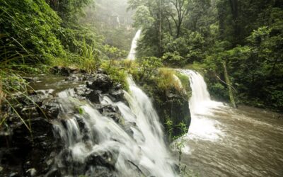 Best free things to do on the Atherton Tablelands