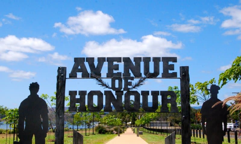 Avenue of honour Yungaburra