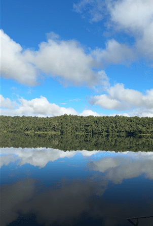 Lake Eacham Crystal Clear water and great for swimming in