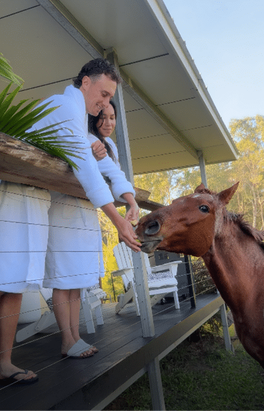 Guest feeding a horse over the veranda of the ghan room