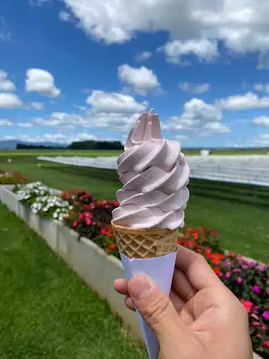 ice cream at Shaylee's strawberry farm