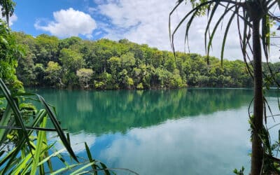 One Day on the Atherton Tablelands: The Perfect Itinerary for Couples
