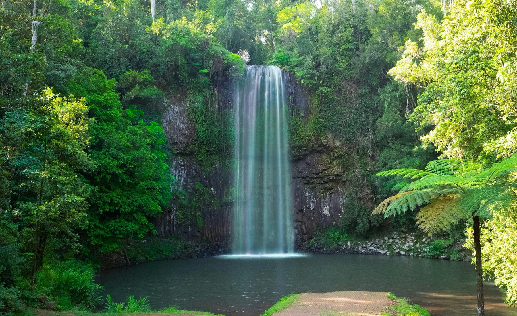 Millaa Millaa water fall
