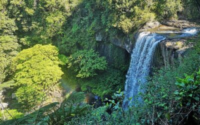 2 Days on the Atherton Tablelands: The Perfect Itinerary for Couples