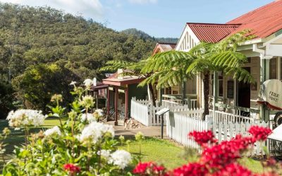 3 Days on the Atherton Tablelands: The Perfect Itinerary for Couples