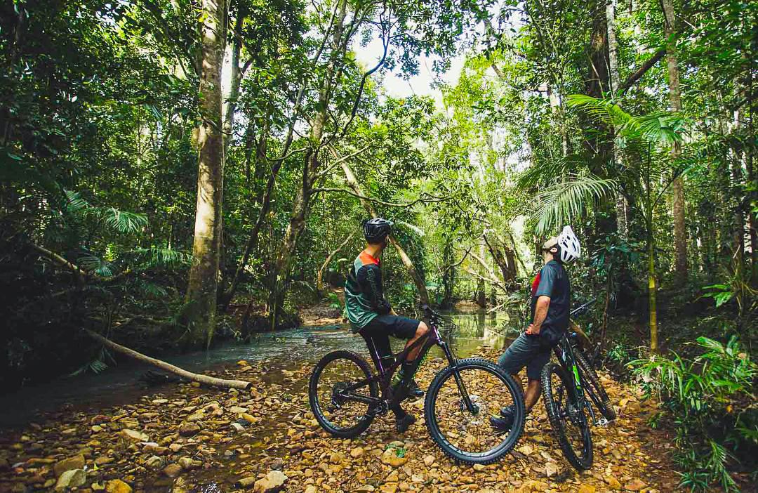 2 mountian bike rides taking in the rainforest and small creek